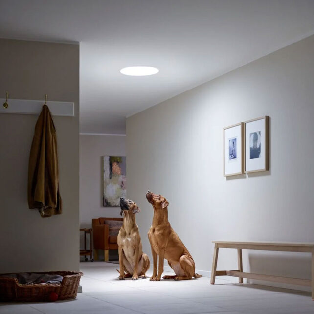 flexibilis-csoves-velux-fenycsatorna-magastetobe
