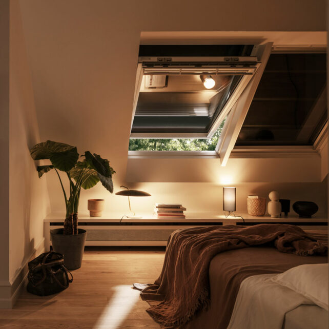 velux-sss-hovedo-fenyzaro-konnyu-redony